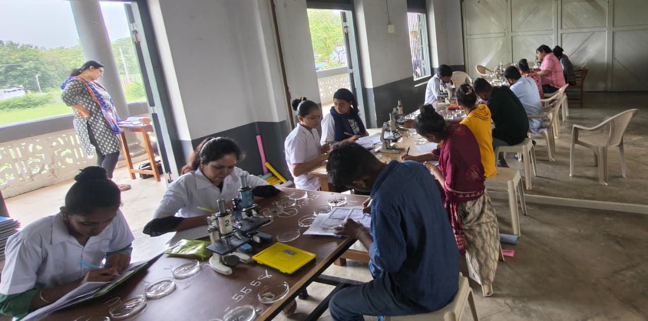 New Botany Simulation Lab Launched